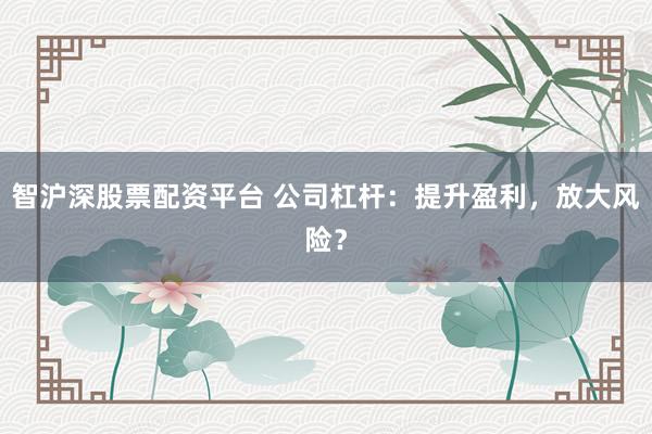 智沪深股票配资平台 公司杠杆：提升盈利，放大风险？