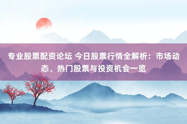 专业股票配资论坛 今日股票行情全解析：市场动态、热门股票与投资机会一览