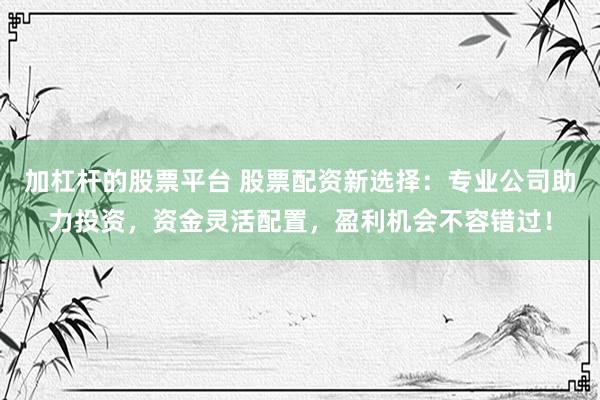 加杠杆的股票平台 股票配资新选择：专业公司助力投资，资金灵活配置，盈利机会不容错过！