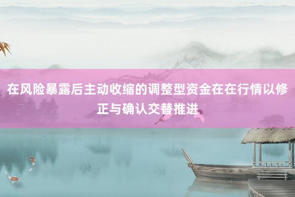 在风险暴露后主动收缩的调整型资金在在行情以修正与确认交替推进