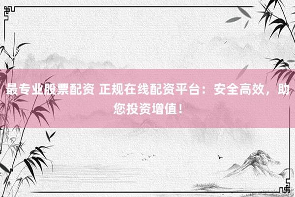 最专业股票配资 正规在线配资平台：安全高效，助您投资增值！