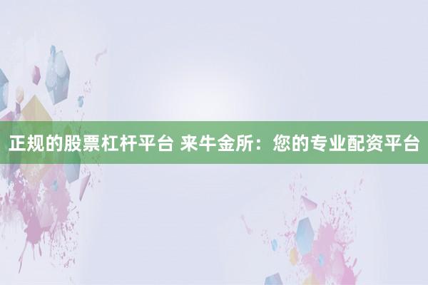 正规的股票杠杆平台 来牛金所：您的专业配资平台