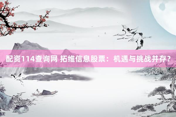 配资114查询网 拓维信息股票：机遇与挑战并存？